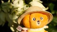 https://images.plurk.com/JXnSPs78W5KB55JCXzq9N.jpg