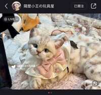 https://images.plurk.com/JeiKgQ9ACABkyn450oXIT.jpg