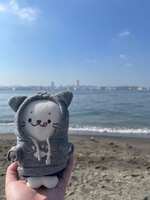 https://images.plurk.com/JkNSyoIth6MQsOwQe9Fb.jpg