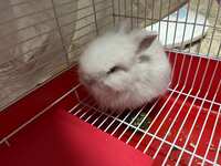https://images.plurk.com/JnhObPFDs5jbzXeFSgXM.jpg