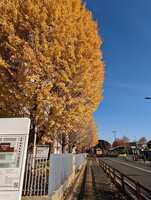 https://images.plurk.com/JukYgWT91YLw7kk7LqGRW.jpg