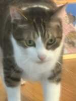 https://images.plurk.com/JwfOS8eXcUxCWPRyldYxD.jpg
