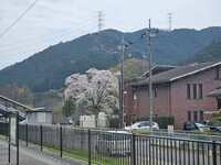 https://images.plurk.com/JyxCMEOA3rF2MDMbw4xSj.jpg