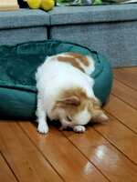 https://images.plurk.com/K1ie3G9CPwsQCXxAMhCfL.jpg