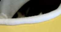 https://images.plurk.com/K2otY2F9a8QDnhZaMdyDp.png