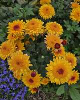 https://images.plurk.com/K2sFJnHJjMTBCaq0GVcM8.jpg