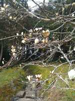https://images.plurk.com/K4bzFm3GjtkYTo6YttlDT.jpg