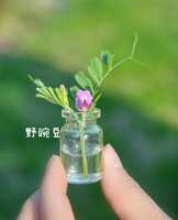https://images.plurk.com/K4khUw1KTTh9xiqmHg6Jd.jpg