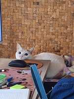 https://images.plurk.com/KBkF5bDyQmQGXFmVHDFJf.jpg