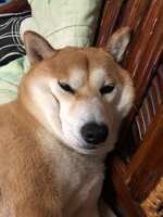 https://images.plurk.com/KDkrW66jMtQW0HHhYwEHz.jpg