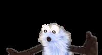 https://images.plurk.com/KEDuagysgL60O4Y5b9z5k.gif