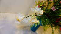 https://images.plurk.com/KWfQ9hQcIM2wa9M6fmsXd.jpg