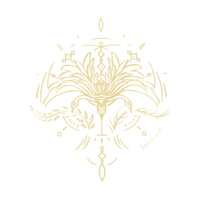 https://images.plurk.com/KaIePG5v51eIddCBF2a81.png