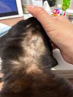 https://images.plurk.com/Ke50nghb67iPopRdSrTOK.jpg
