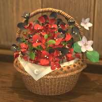 https://images.plurk.com/KgUl61cu4YTZC64NDkb85.png