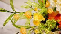 https://images.plurk.com/Ki57xSI1tstAScxhRHz0o.jpg
