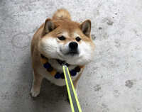 https://images.plurk.com/KjQ9g4ZwnuoLBIEc0igFi.jpg