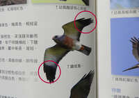 https://images.plurk.com/KnfxWgfDgO0DMRS2AdhJC.jpg