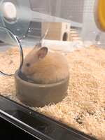 https://images.plurk.com/KoouXTfnr5TsERO2SWh72.jpg