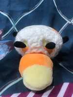 https://images.plurk.com/KorHM7BkI7qm4aB6KqT5t.jpg
