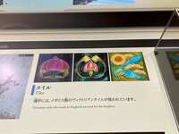 https://images.plurk.com/KpZEBU4PuVcnrNybkT25b.jpg