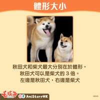 https://images.plurk.com/KqKKnszH2q9HKMRBNN0er.jpg