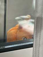 https://images.plurk.com/KyTFpULJJUERQJsLq8WUD.jpg