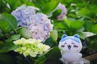 https://images.plurk.com/L1PVMc13CFxvO8VwUWl2e.jpg