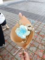 https://images.plurk.com/L2Mab4rjQHRR1ZSzwsqgu.jpg