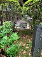 https://images.plurk.com/L77E9ShR0yGGlBeMPBVFn.jpg