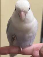 https://images.plurk.com/LCLcTh9EyQbdMCwQ8kMT0.jpg