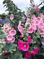 https://images.plurk.com/LFMMWjQKMi76nRRwjn2uG.jpg
