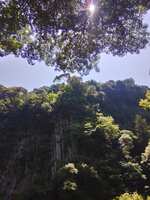 https://images.plurk.com/LL7L6cTJSEp3xVgpYk0mb.jpg