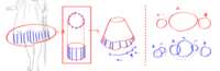 https://images.plurk.com/LQy9Z5FWPd1pZO2lwTx2Q.png