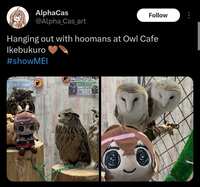 https://images.plurk.com/LRJTdPOngVqunaapSW8yc.jpg