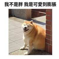 https://images.plurk.com/LYpBKxB1zEEvlhVJKfDGz.jpg