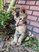 https://images.plurk.com/LdCk56hoEbWJEmEKSnnyl.jpg