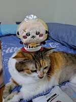 https://images.plurk.com/LkKmMV8nNWjOWgxs23OIQ.jpg