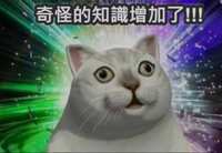 https://images.plurk.com/LoMt1gWtDXQqG5bAKOTQ6.jpg