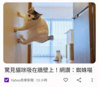 https://images.plurk.com/LpJ8448bgsbqPiyk5mMcQ.jpg