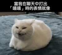 https://images.plurk.com/LznuhghHgV0ihtW71p1cA.jpg
