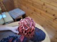 https://images.plurk.com/M1EqN2PrrZAsxXYTr0RPV.jpg
