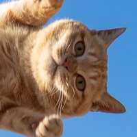 https://images.plurk.com/M1koMgAnc8WYuo9i01d5z.jpg