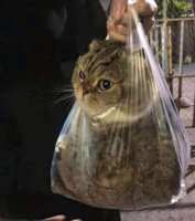 https://images.plurk.com/M1r9NUz8XsaBogiEM8qJp.png