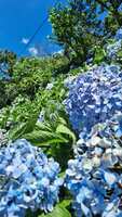 https://images.plurk.com/M5VvzAHibVUb0bQs9YDuz.jpg