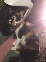 https://images.plurk.com/M94pidtuTmCja7THcuSOd.jpg
