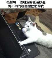 https://images.plurk.com/MClwP1Ee2ooWbJN1Ly6r8.jpg