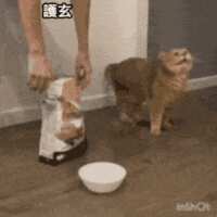 https://images.plurk.com/MG89hZPihpZRGFxCwbRij.gif