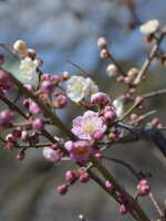 https://images.plurk.com/MPO39MmtZgQq2oAVEb53n.jpg