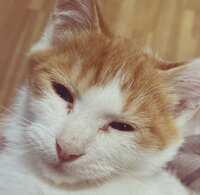https://images.plurk.com/MQ4lqFBQoTODBFZUytKuX.jpg